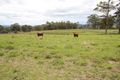 Property photo of 94 Youngs Road Wingham NSW 2429