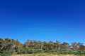 Property photo of 290 Horners Road Elderslie TAS 7030