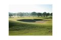 Property photo of LOT 23/88 Centenary Drive Strathfield NSW 2135