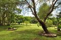 Property photo of 1125 Booyong Road Clunes NSW 2480