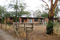 Property photo of 6 Yerong Street The Rock NSW 2655