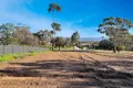 Property photo of 48 Boyce Street Avoca VIC 3467