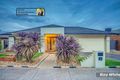 Property photo of 13 Swordgrass Avenue Tarneit VIC 3029