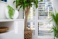 Property photo of 69 McInnes Street Minmi NSW 2287