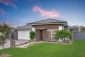 Property photo of 15 Dargin Close Harrington Park NSW 2567