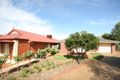Property photo of 51 Lasscock Avenue Lockleys SA 5032