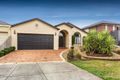 Property photo of 81 Rutherglen Crescent Gowanbrae VIC 3043