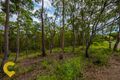 Property photo of 15 Eveleigh Street Arana Hills QLD 4054