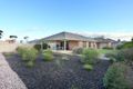 Property photo of 30 Roche Street Freeling SA 5372