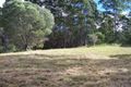 Property photo of 57 Hollis Road Pomona QLD 4568