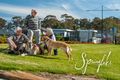 Property photo of 62 Tarra Circuit Mount Barker SA 5251
