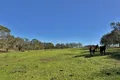 Property photo of 77 Newton Road Young NSW 2594