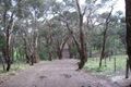 Property photo of 58 Wombat Avenue Heathcote Junction VIC 3758