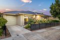 Property photo of 19 Bristol Avenue Camden Park SA 5038