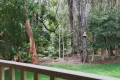 Property photo of 8 Brolga Place Coffs Harbour NSW 2450