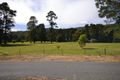 Property photo of 47 Mountain Avenue Mount Beauty VIC 3699
