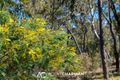 Property photo of 299 Mount Haven Way Meadow Flat NSW 2795