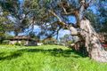 Property photo of 14 Bambra Road Aireys Inlet VIC 3231