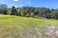 Property photo of 30 William Road Eumundi QLD 4562
