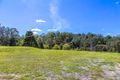 Property photo of 30 William Road Eumundi QLD 4562