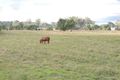 Property photo of 68 Barnes Road Allenview QLD 4285