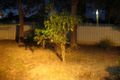 Property photo of 1 Danbury Close Marsfield NSW 2122