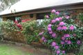 Property photo of 10 Pulpit Hill Road Katoomba NSW 2780