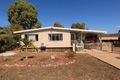 Property photo of 188 Pavia Drive Nome QLD 4816