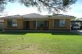 Property photo of 12 Greenwillow Avenue Paradise SA 5075
