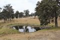 Property photo of 128A Daisy Mount Road Tenterfield NSW 2372