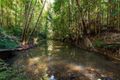 Property photo of 1278 Eumundi Noosa Road Verrierdale QLD 4562