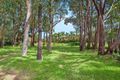 Property photo of 32 Avoca Drive Kincumber NSW 2251