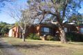 Property photo of 61 Moncrieff Drive East Ryde NSW 2113