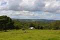 Property photo of 217 Koonorigan Road Koonorigan NSW 2480