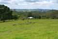 Property photo of 217 Koonorigan Road Koonorigan NSW 2480