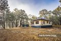 Property photo of 17 Murrungundie Street Elong Elong NSW 2831