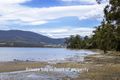 Property photo of 464 Cygnet Coast Road Petcheys Bay TAS 7109