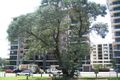 Property photo of 69/6-10 Romsey Street Waitara NSW 2077