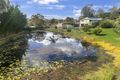 Property photo of 60 Jimbour Road The Palms QLD 4570