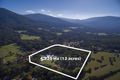 Property photo of 442 Woods Point Road East Warburton VIC 3799