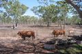 Property photo of 57 Bowden Road Black River QLD 4818