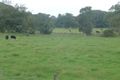 Property photo of 2440 Kyogle Road Terragon NSW 2484
