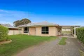 Property photo of 21 Perham Street Pittsworth QLD 4356