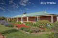 Property photo of 50 Sheridan Court Rutherglen VIC 3685