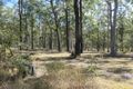 Property photo of 81 Bellbird Road Drake NSW 2469