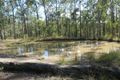 Property photo of 81 Bellbird Road Drake NSW 2469