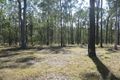 Property photo of 81 Bellbird Road Drake NSW 2469