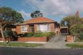 Property photo of 39 Halstead Street Caulfield North VIC 3161