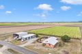 Property photo of 217 Petersens Road Sandiford QLD 4740