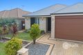 Property photo of 62 Colreavy Ramble Baldivis WA 6171